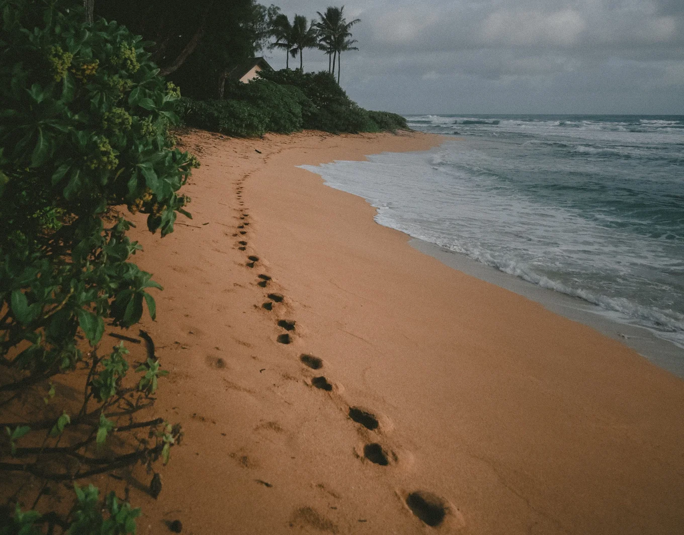 Footprints on sandy beach, ocean waves, palm trees.