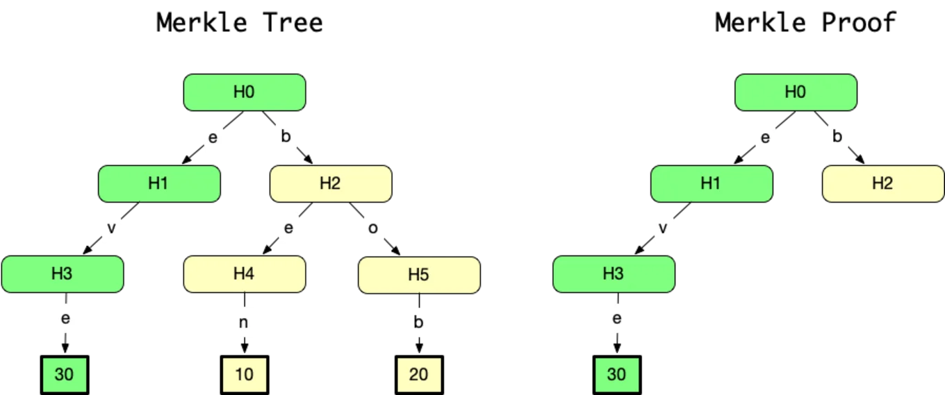 A merkle proof