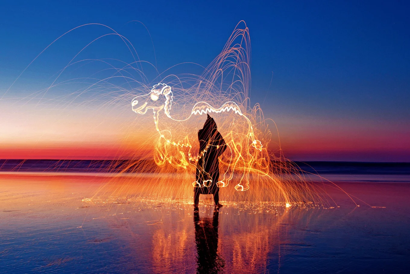 Silhouette with light drawing of a camel on beach.