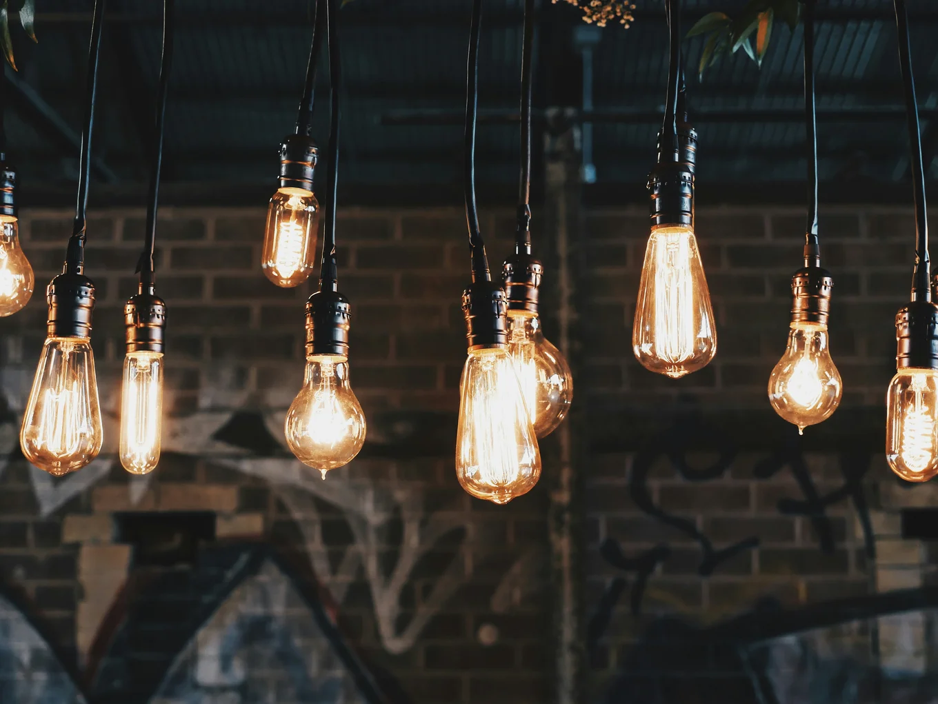 A number of light bulbs with lights in them, hanging from cables in the ceiling.